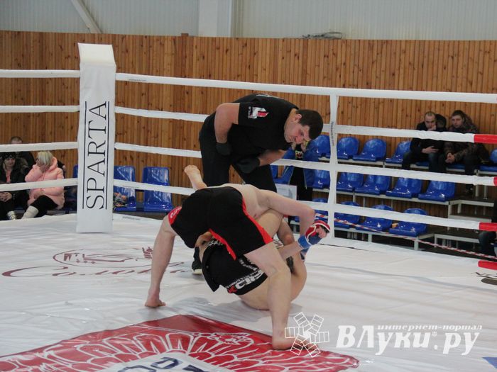 В Великих Луках завершился открытый кубок по смешанному боевому единоборству ММА (ФОТО)