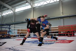 Открытый кубок по смешанному боевому единоборству ММА прошел в Великих Луках (ФОТО)