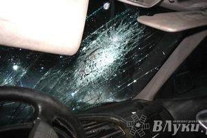 В Великих Луках водитель БМВ врезался в дерево (ФОТО)