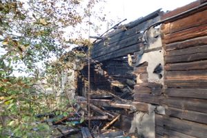 В Локне на пожаре погиб человек (фото)