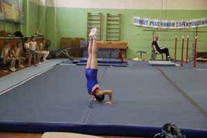 В Великих Луках прошло Первенство города по спортивной гимнастике (фото)