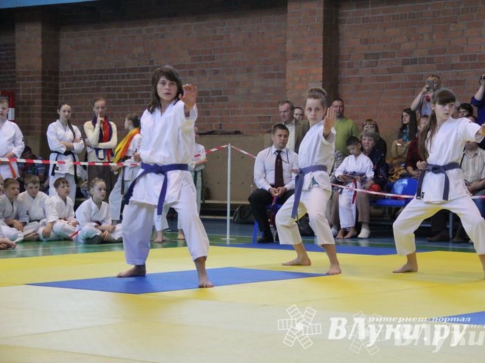 Великолучане стали победителями турнира по каратэ «Неприкосновенный запас, дети — Отчизны 2015» (фото)