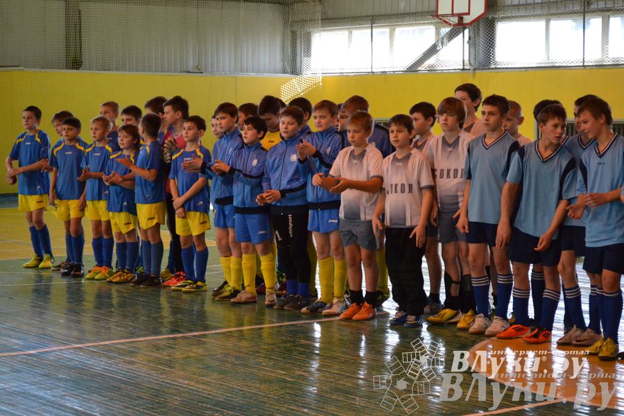 XII Традиционный Международный открытый турнир по мини-футболу среди юношей 2001-2002 г. р.