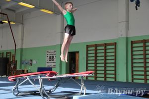 В Великих Луках состоялось Первенство по командной гимнастике (фото)