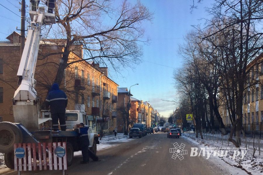 ФОТОФАКТ: В Великих Луках подстригают деревья