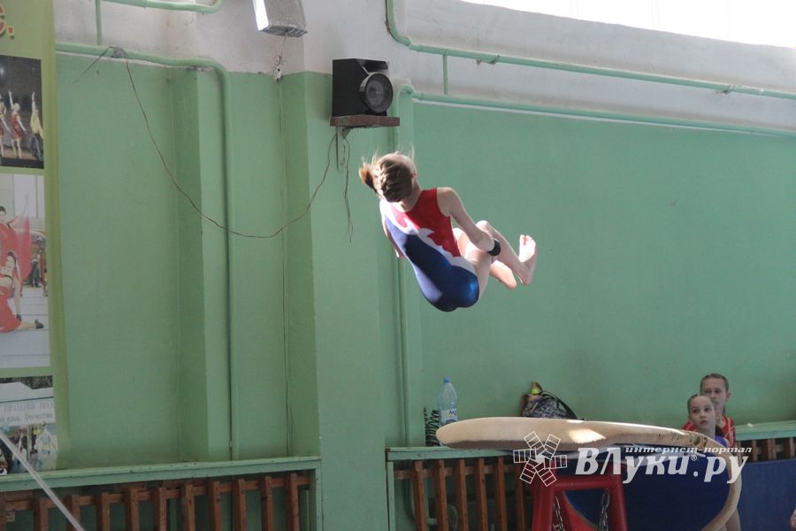 В Великих Луках проходит открытое первенство по спортивной гимнастике (ФОТО)