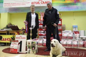Всероссийская выставка собак «Великие Луки — 2014»