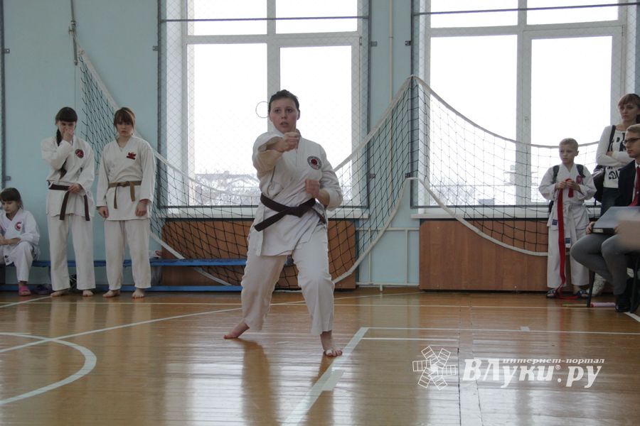 В Великих Луках прошел  турнир по Шотокан каратэ