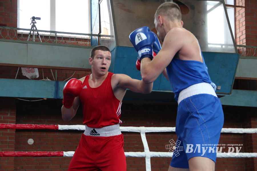 В Великих Луках прошел турнир по боксу памяти Е. Клевцова (ФОТО)