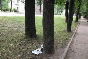 «Прибинтовали» скотчем (ФОТО)