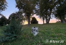 Прогноз погоды на 9 сентября в Великих Луках