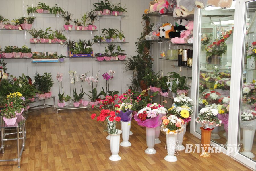 Конкурс «Мимо тёщиного дома...» нашел победителя (ФОТО)