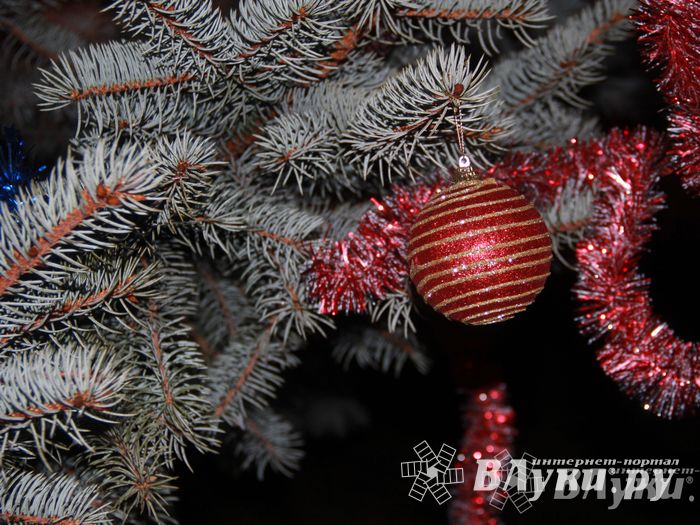 В Великих Луках состоялась презентационная игра «Дозор» (фото)