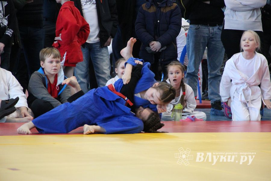 Фестиваль боевых искусств прошел в Великих Луках (ФОТО)