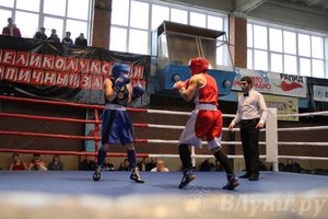 16-й Международный турнир по боксу (фото)