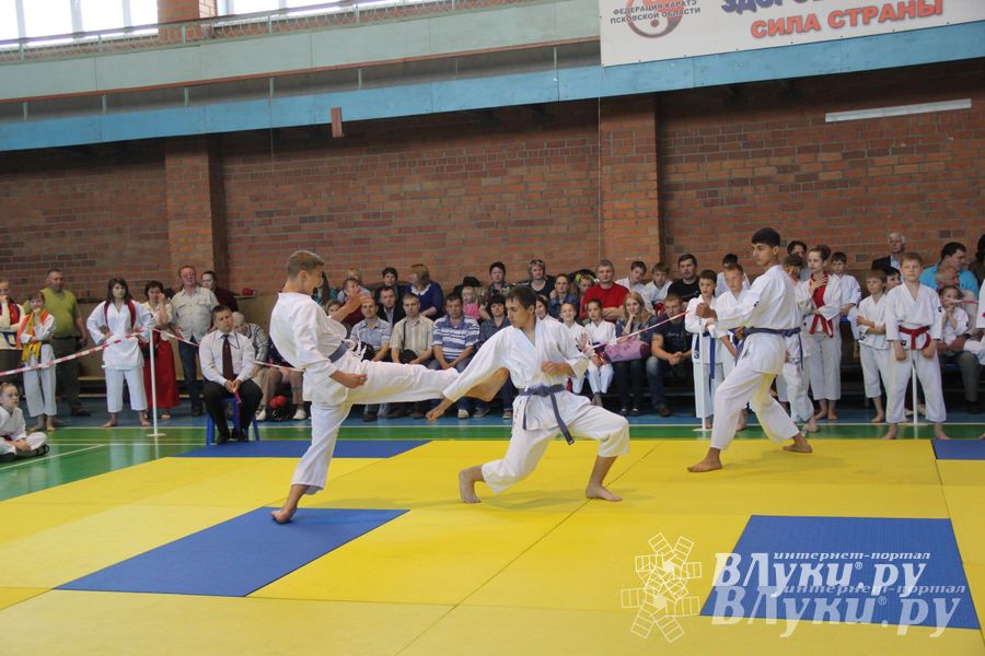 Великолучане стали победителями турнира по каратэ «Неприкосновенный запас, дети — Отчизны 2015» (фото)