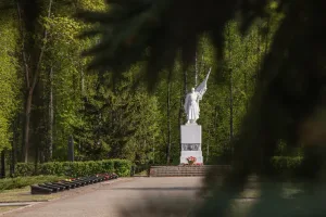 ВЛуки.ру