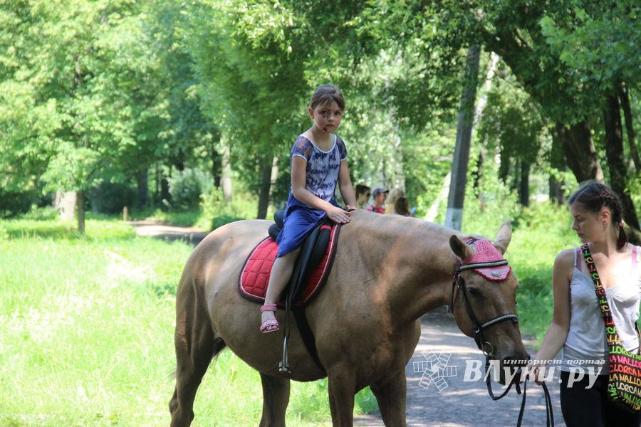 В городском парке Великих Лук прошёл День мороженого