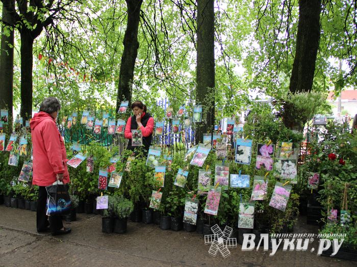 В Пскове проходит 22-ая универсальная выставка (фото)