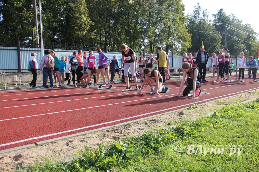В Великих Луках проходят соревнования «Шиповка юных» (ФОТО)