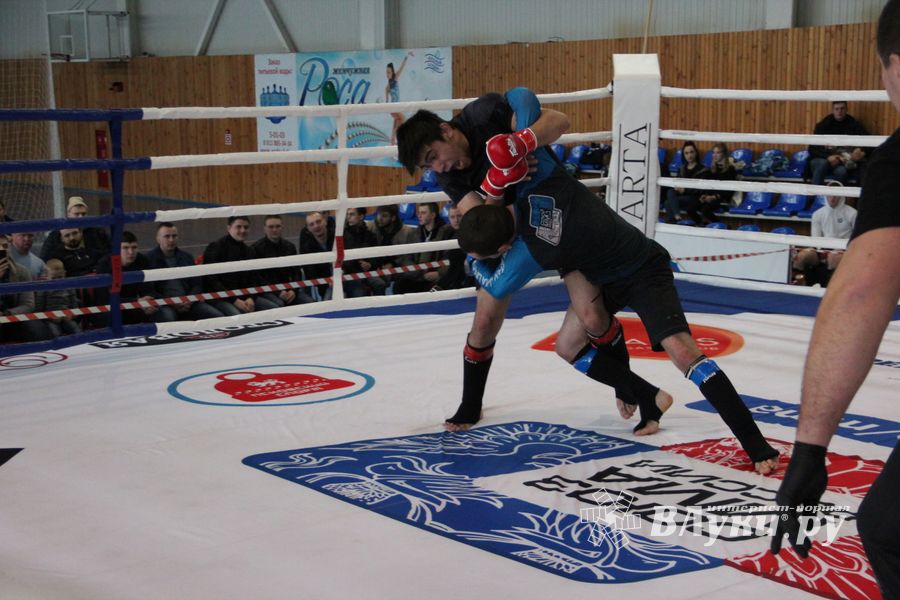 Открытый кубок по смешанному боевому единоборству ММА прошел в Великих Луках (ФОТО)