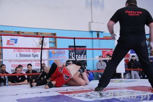 Открытый Кубок города Великие Луки по смешанному боевому единоборству (ММА)
