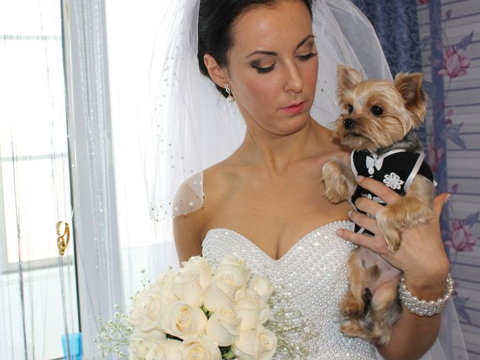 Объявляем победителей фотоконкурса «Косточка к Новому году» (ФОТО)