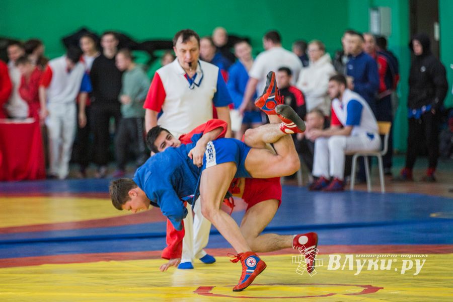 Фото: Александр Воробьев Великолучане завоевали награды Всероссийских соревнований по самбо