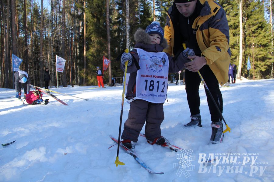 Всероссийская массовая лыжная гонка «Лыжня России 2015» состоялась в Великолукском районе (фото)