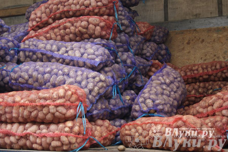 ​Универсальная торговая ярмарка «Осень – 2014» состоялась  в Великих Луках