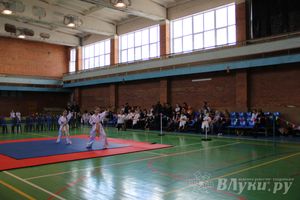 В Великих Луках прошло Первенство по тхэквондо (фото)