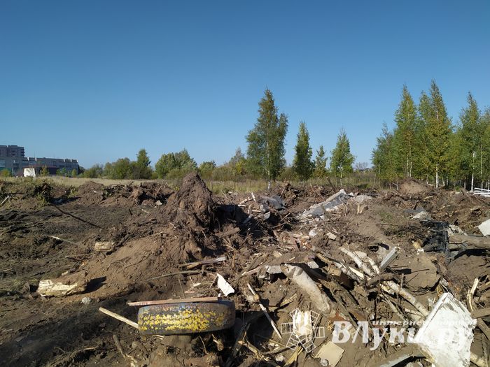 Будет ли здесь «город-сад» (ФОТО)