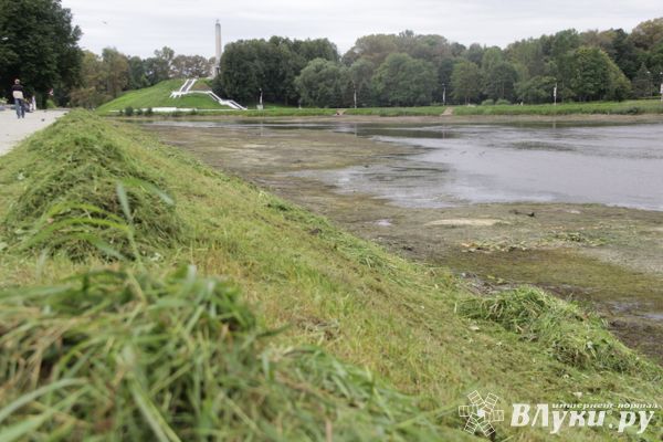 Куда утекла Ловать (ФОТО)