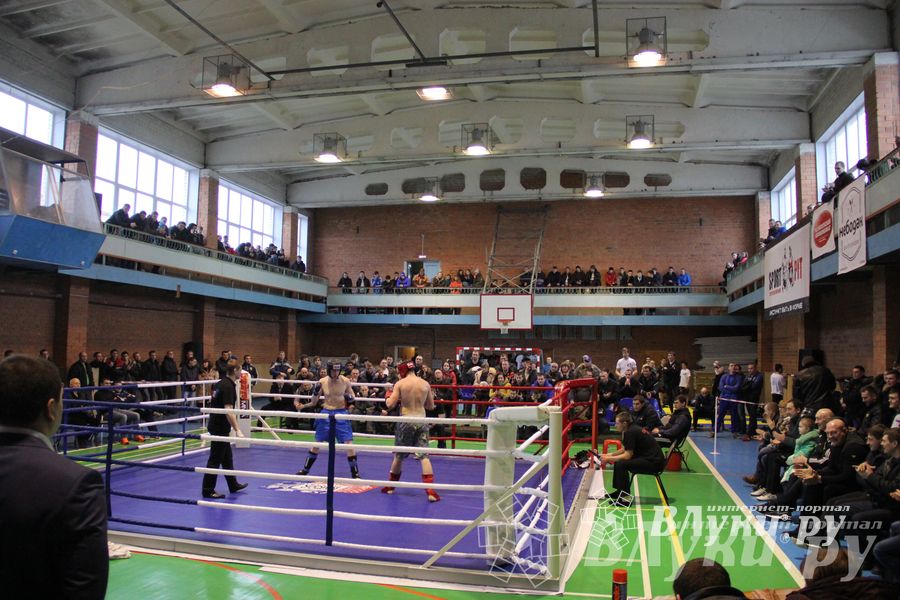 В Великих Луках прошел межрегиональный Открытый Кубок по смешанному боевому единоборству (фото)