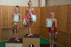 В Великих Луках прошло ​Открытое первенство города по художественной гимнастике (фото)