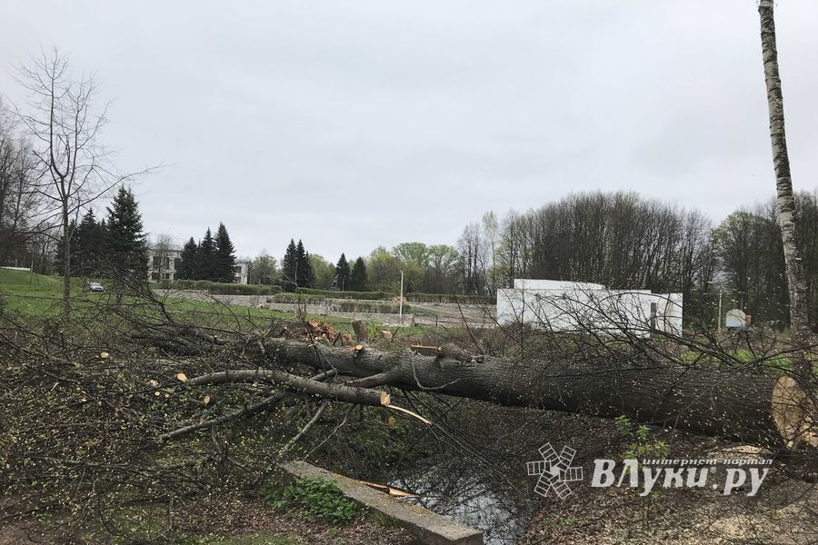 В будущем Петровском парке завершается очередной этап работ (ФОТО)