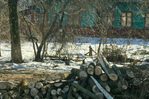 В Великих Луках удаляют угрожающие гражданам ветви (ФОТО)