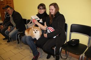 Всероссийская выставка собак в Великих Луках (фото)