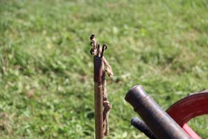 Великолукская Крепость соединила прошлое и настоящее (ФОТО)