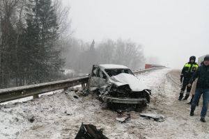 На М-9 лоб в лоб столкнулись тягач и легковушка (ФОТО)