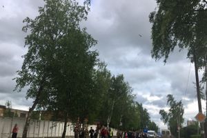 По Октябрьскому проспекту Великих Лук следует крестный ход (ФОТО)