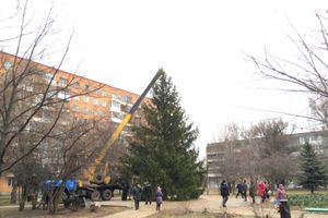 В Великих Луках установили вторую городскую ёлку (ФОТО)