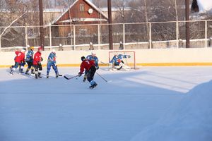Великолукский хоккей: много забитых шайб и немного потасовок и разбитых лиц (фото)