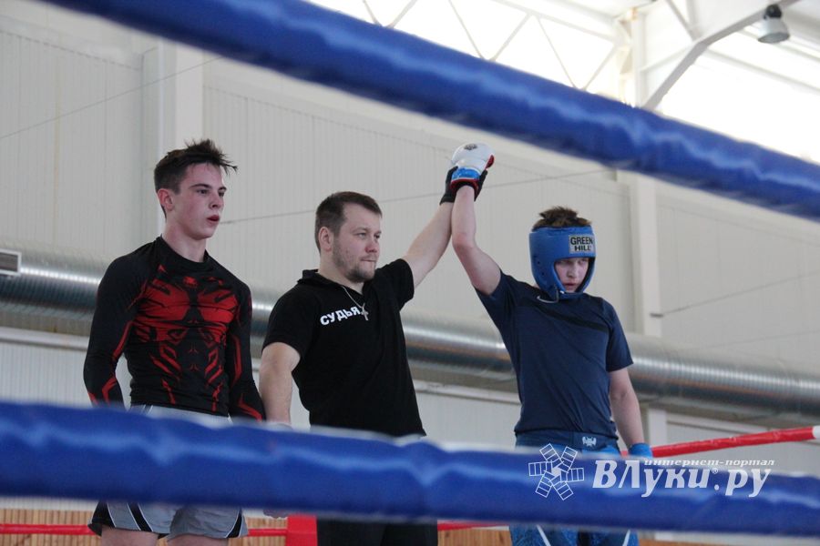 В Великих Луках проходит открытый кубок по смешанному боевому единоборству ММА (ФОТО) (12+)