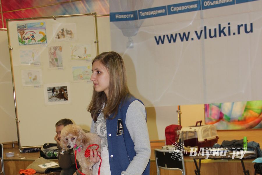 Всероссийская выставка собак в Великих Луках (фото)