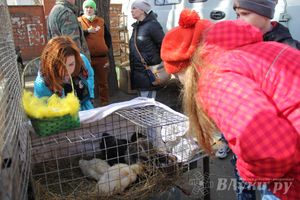Универсальная торговая ярмарка «Весна-2015» прошла в Великих Луках (фото)
