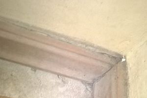 Великолучане жалуются на антисанитарию в Великолукской детской городской больнице (фото)