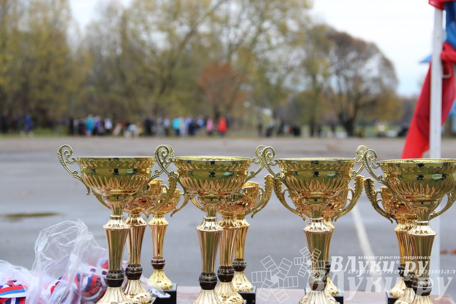 Легкоатлетический осенний кросс прошел в Великих Луках (фото)