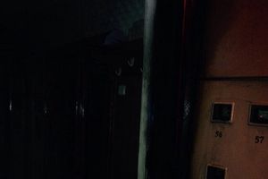 Фото предоставлено ОНД г. Великие Луки