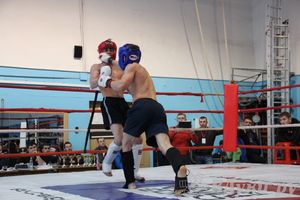 Открытый Кубок города Великие Луки по смешанному боевому единоборству (ММА)